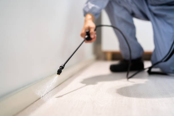 Licensed Pest Control service in Lower Lake, CA - Show Me Pest Control