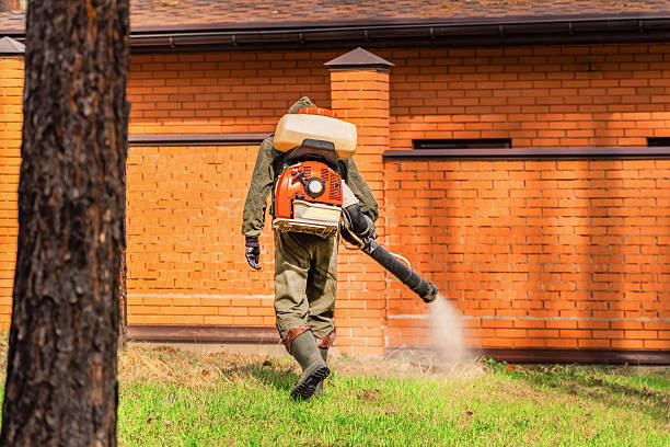Bed Bug Clearance Verification and Documentation in Lower Lake